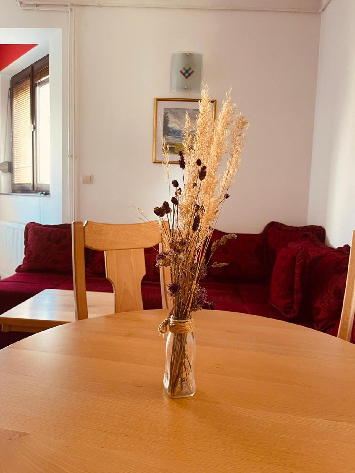 Apartman Hill Durmitor